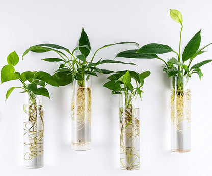 Wall Hanging Planter Glass Plant Propagation Station for Home Office Decor, Large Cylinder, 4 Pack
